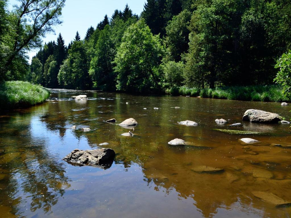 Ferienwohnungen Grill Schönberg Szoba fotó